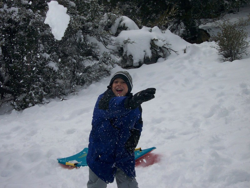 Young boy pulling sled in snow